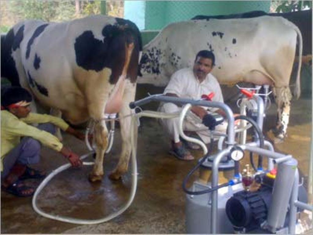 Milking Machine