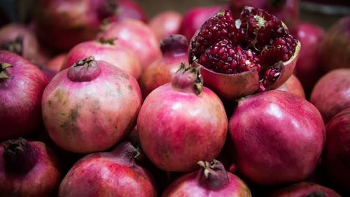 Pomegranate Farming