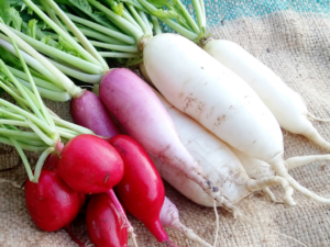 Radish Health Benefits