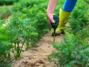 soil health card