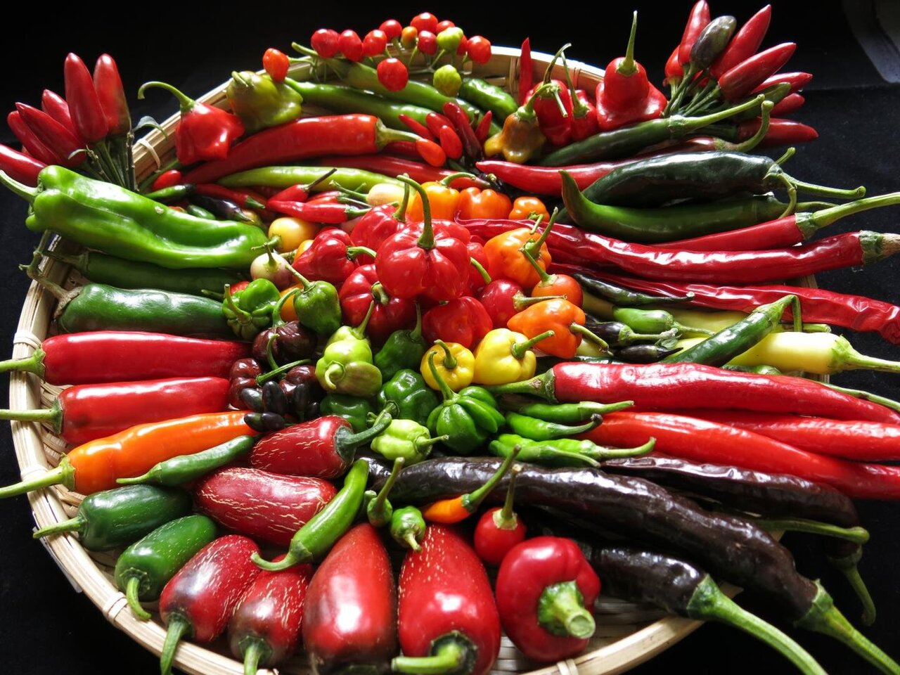 Varieties of Chilies