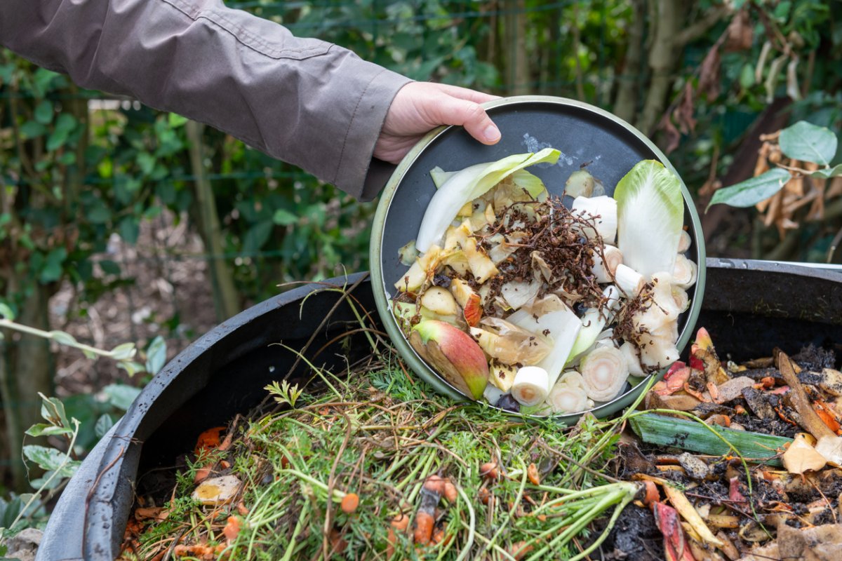 Composting Potato Peels