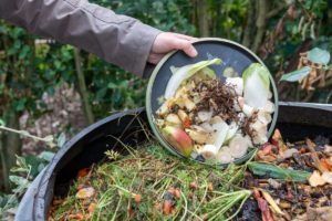 Composting Potato Peels