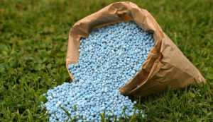 fertilizer prices