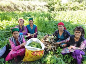 Women Farmers