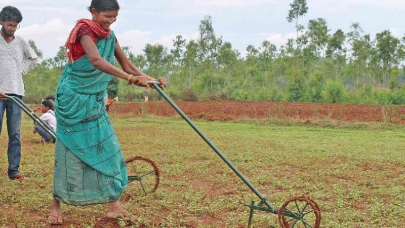 women farmers