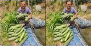 Farmer Success Story