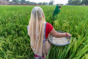 Women Farmer