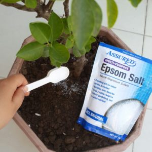 Epsom Salt