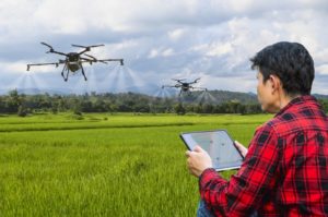 Drone Farming