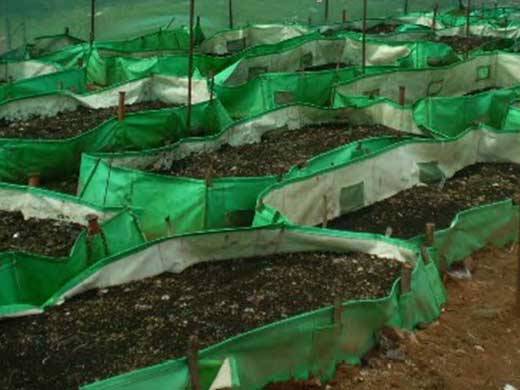 Vermicompost Business