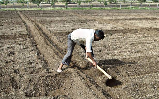 Land Preparation for Pulses Crops