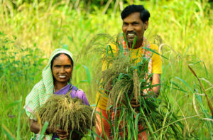 Niti Aayog Natural Farming Intiative