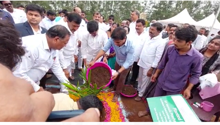 Planting Seedlings