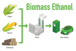 Biomass Ethanol