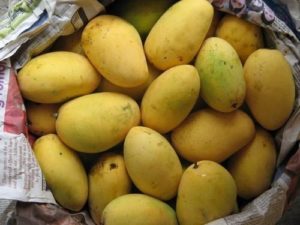 Jardalu Mango