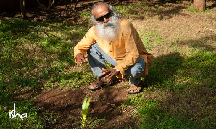 Sadhguru Save Soil