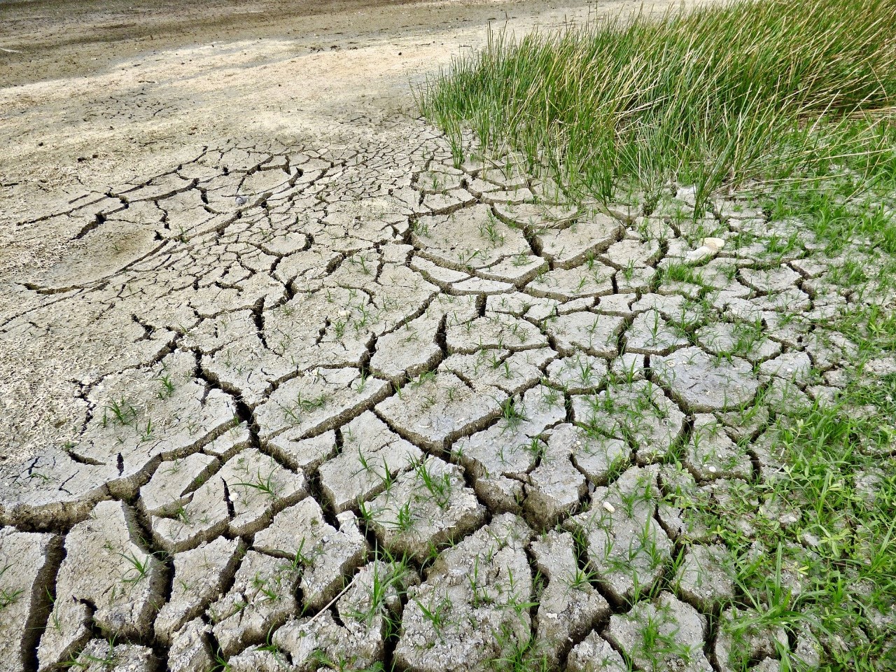 Water Scarcity