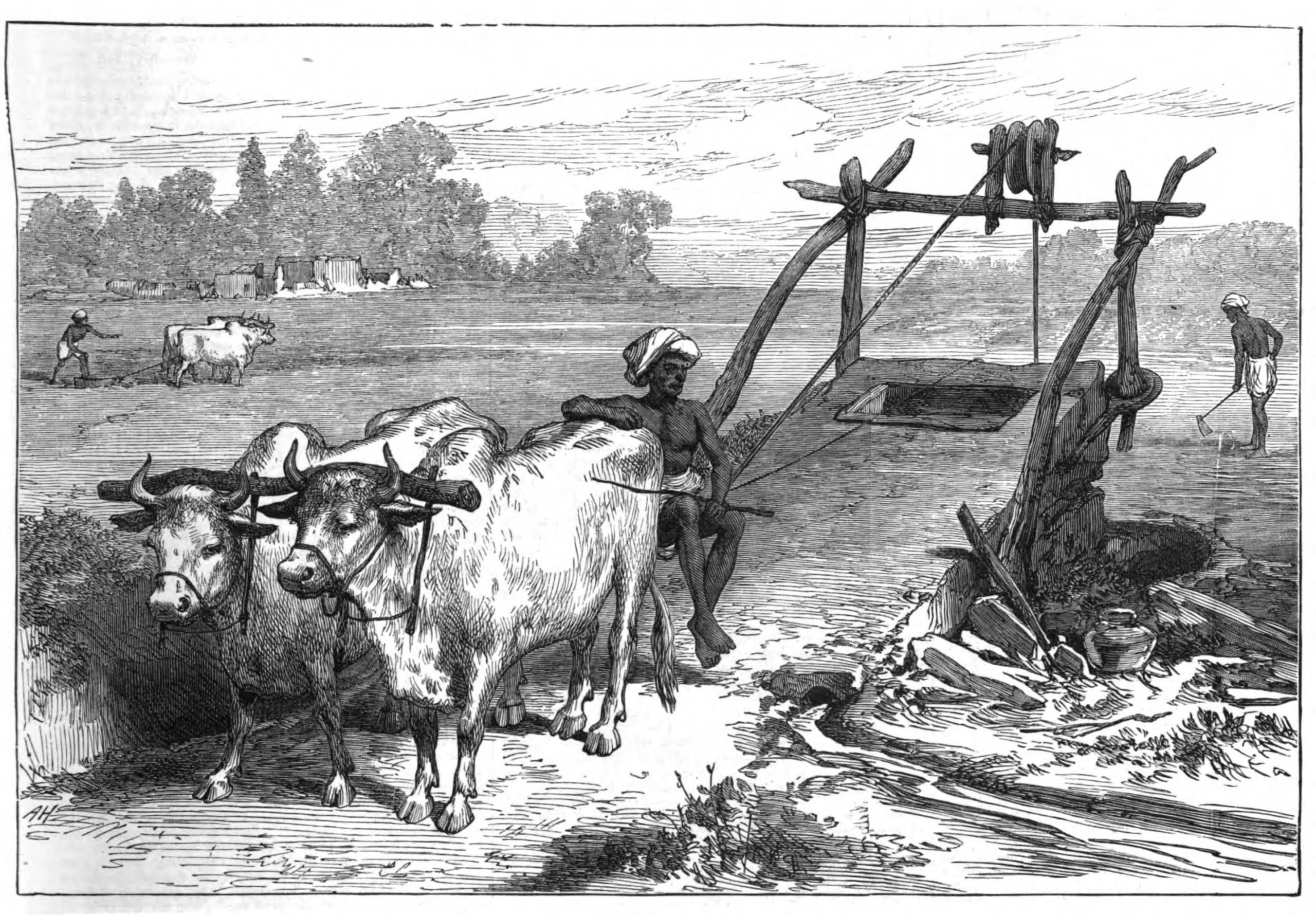 Agriculture in British Era