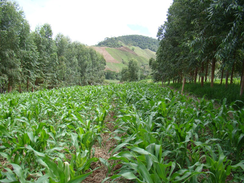 Agri Horti Pastoral