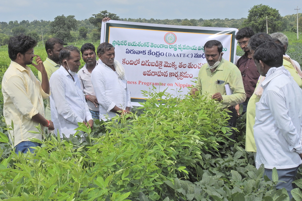 Agricultural Research