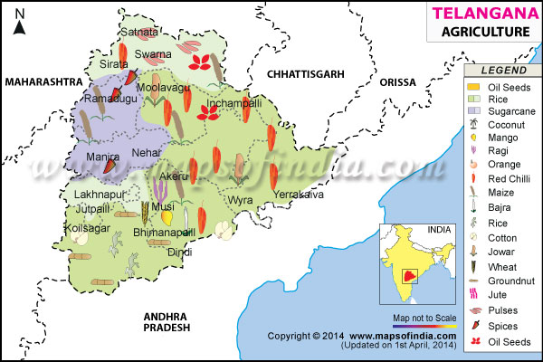Telangana Agriculture Map