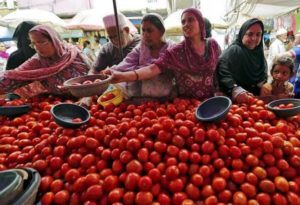 Tomato Prices