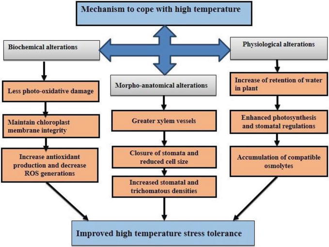 Weather Conditions for Sugarcane Cultivation