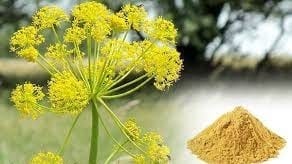 Asafoetida Health Benefits