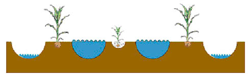 Reclamation of Saline Soils