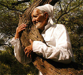 Chipko Movement