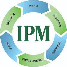 Assesment on IPM