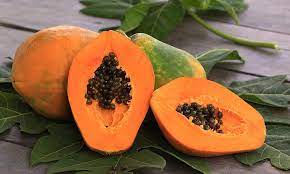 Papaya