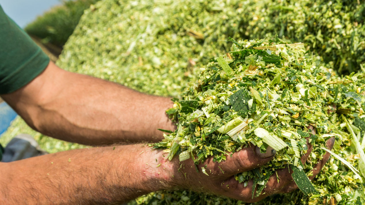 Silage