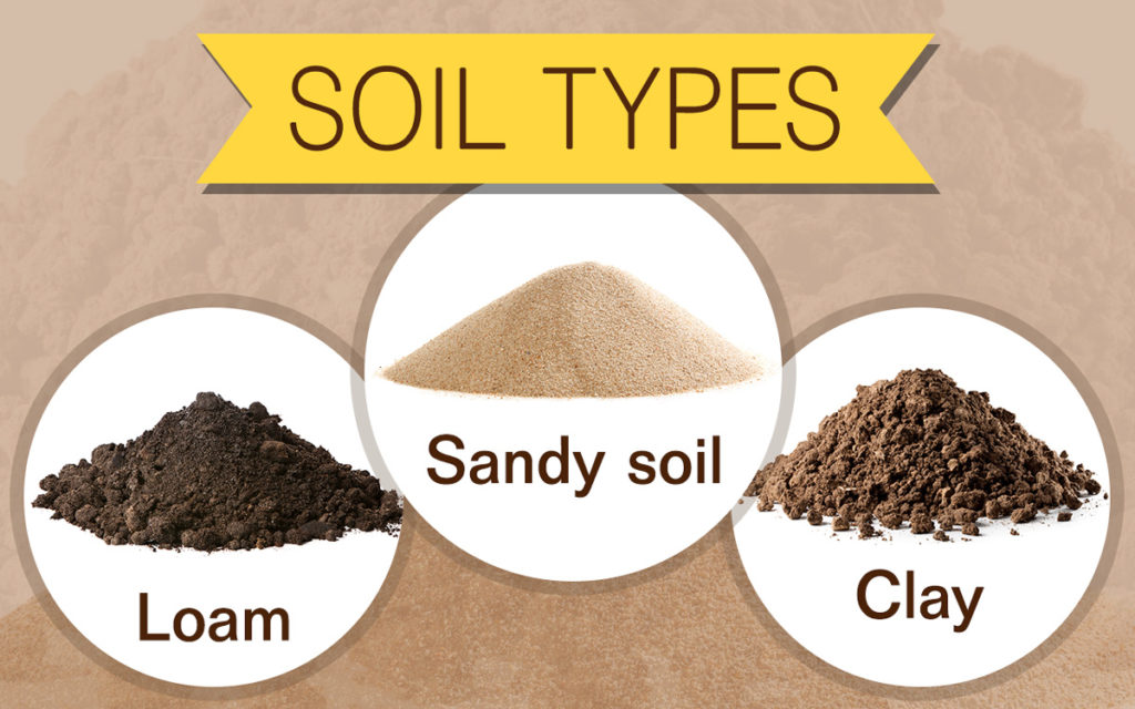 Soils in Andhra Pradesh