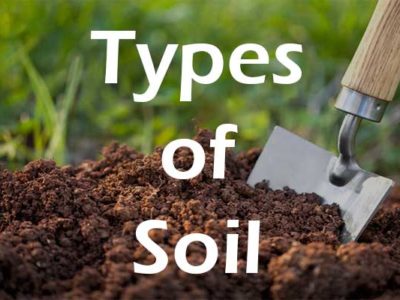 Soil