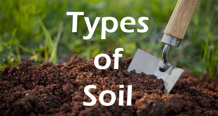 Soil