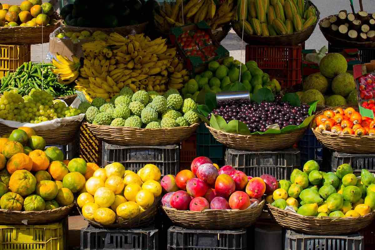 Economic Importance of Fruit Production in India