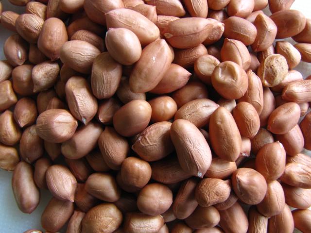 Groundnut Seed Selection