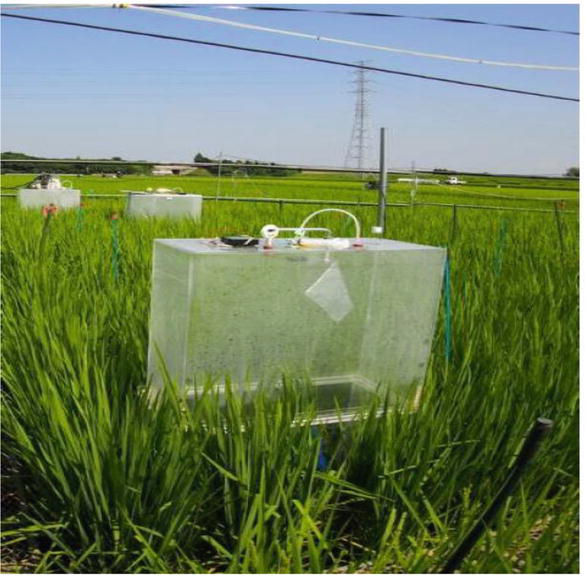 Methane Emissions from Soil