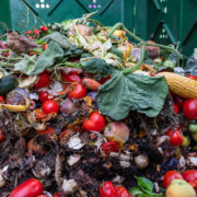 Agricultural Waste