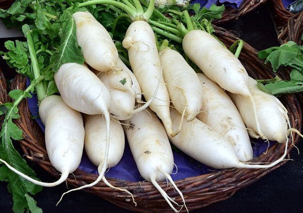 Benefits of Eating Radish