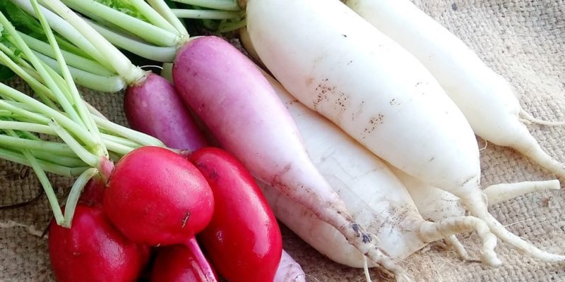 Benefits of Eating Radish