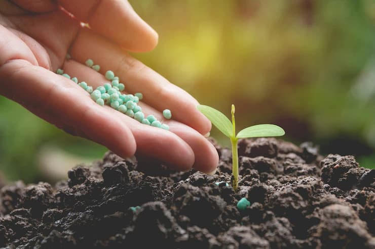 Bio Fertilizers Importance in Agriculture