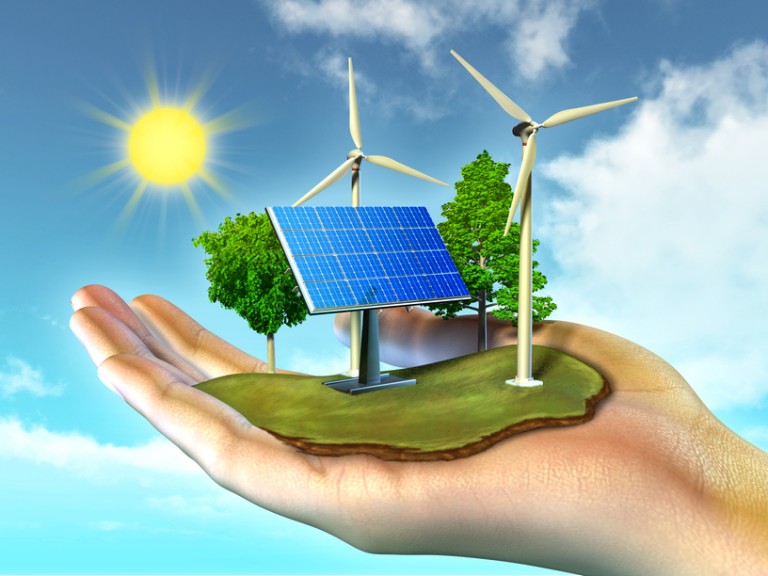 Energy Plantation Importance