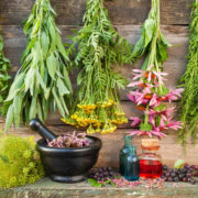 Medicinal Plant Importance