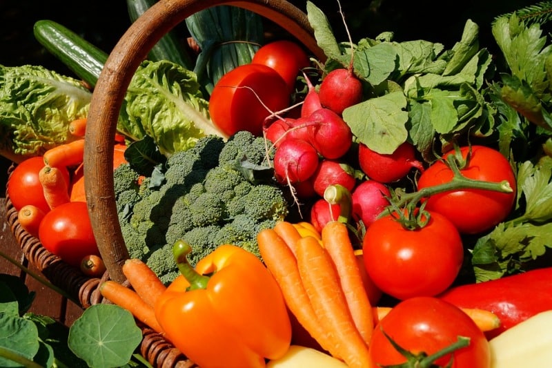 Mixed Vegetables Cultivation