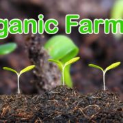 Organic Farming