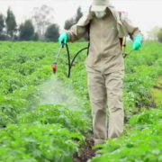 Pesticide