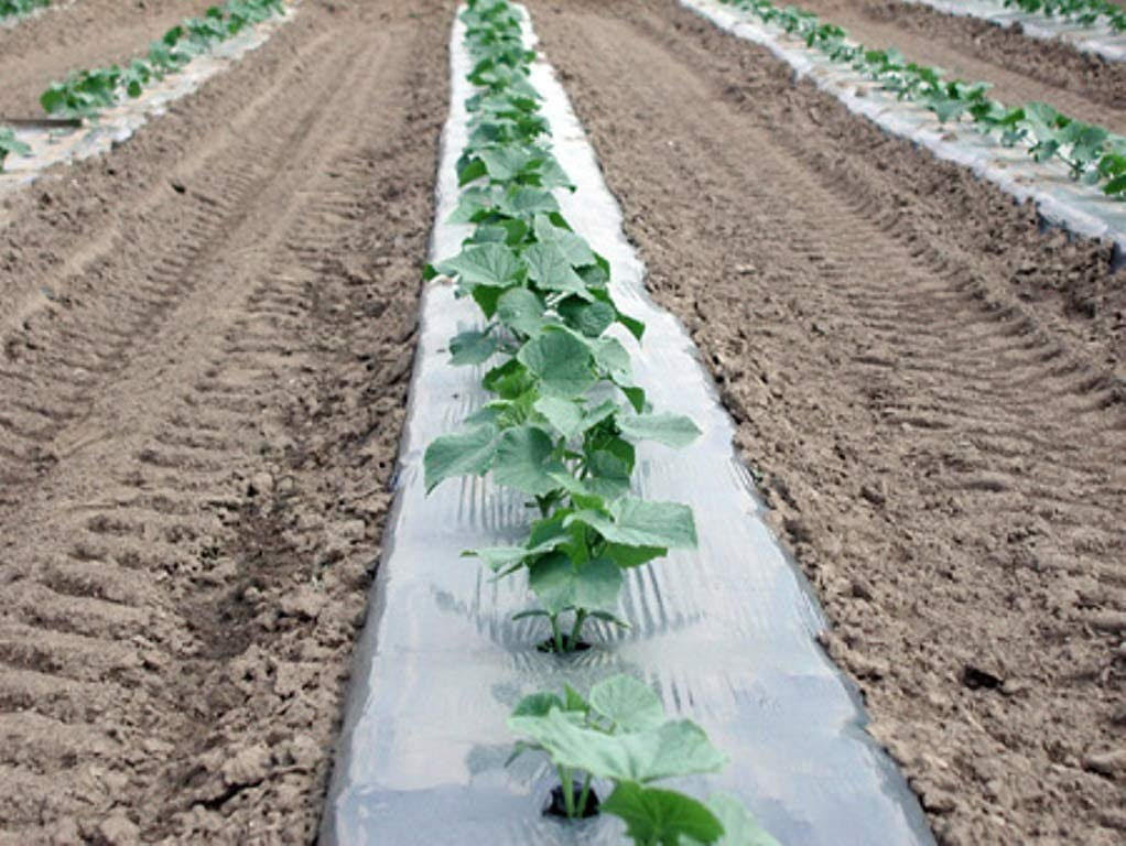 Plastic Uses in Agri and Horticulture